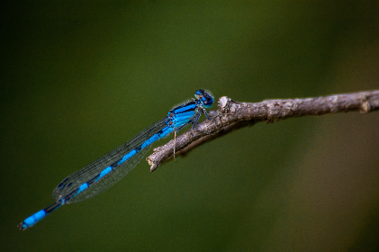 亚洲产在线精品亚洲第一站 亚洲产在线精品亚洲第一站