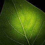 欧美自拍av ncjqp74a6