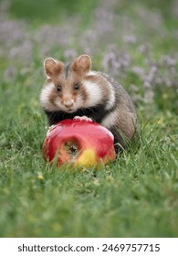 可乐影视tv版下载:畅享海量影视资源,轻松观看热门剧集与电影 可乐影视tv版下载:畅享海量影视资源,轻松观看热门剧集与电影