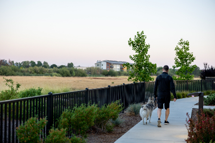 乳色吐息:探寻梦幻般的柔和色彩与温暖气息 乳色吐息:探寻梦幻般的柔和色彩与温暖气息